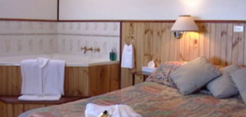 Cedar Lodge Cabins - Hotel Gold Coast 2