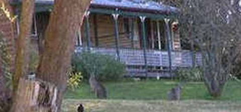 Cedar Lodge Cabins - Hotel Gold Coast 3