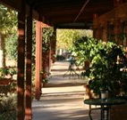 The Vineyard Motel - Cowra