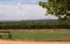 The Vineyard Motel - Cowra - thumb 1