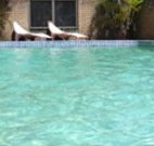 Toreador Motel - Coffs Harbour - Hotel Gold Coast