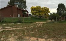 The Art Shack - Hotel Gold Coast 4