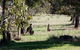 Amazing Country Escapes - Lakeview Luxury Cabins - thumb 2