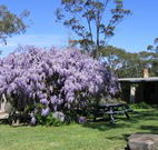 Studio Cottages - Hotel Gold Coast