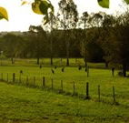 Stone Cottage Mittagong - Hotel Gold Coast