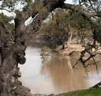 Valley View Cottage Hunter Valley - Hotel Gold Coast