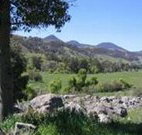 Woolshed Hill Estate - Hotel Gold Coast