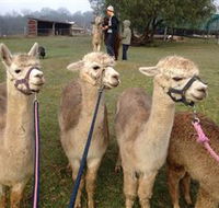 Bunyip Springs Farmstay - Hotel Gold Coast