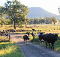 Tommerups Dairy Farmstay - Hotel Gold Coast