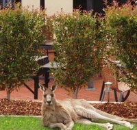 Alpha Canberra Hotel and Apartments - Hotel Gold Coast