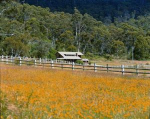 Pender Lea Alpine Guest Accommodation - Hotel Gold Coast 1
