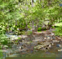 Cockadilly Escape - Hotel Gold Coast