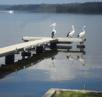 Basin Cabin - Hotel Gold Coast