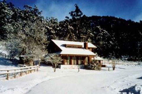 Pender Lea Alpine Guest Accommodation - Hotel Gold Coast 2