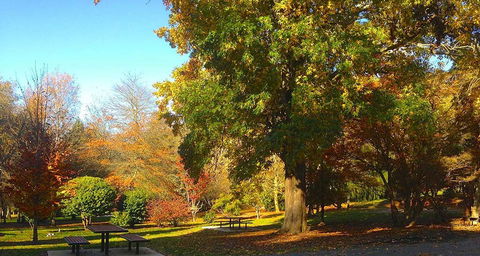 Eastern Dandenong Ranges Visitor Information Centre - Hotel Gold Coast 1
