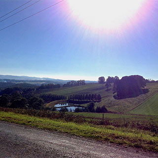 Eastern Dandenong Ranges Visitor Information Centre - Hotel Gold Coast 9