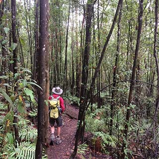 Eastern Dandenong Ranges Visitor Information Centre - Hotel Gold Coast 11
