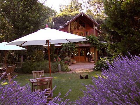 Lavender Hue - Hotel Gold Coast 0