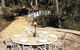 Grevillea Chalet - thumb 8