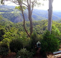 Mt Tamborine Motel - Hotel Gold Coast