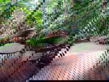 Abbazia Rainforest Studio - Hotel Gold Coast 3