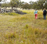 Carnarvon National Park camping - Hotel Gold Coast