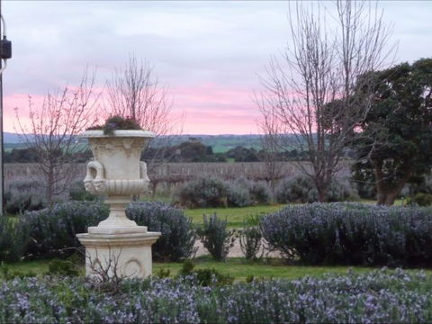 Angas Plains Estate Wines Heritage Suite - Hotel Gold Coast 4
