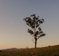 Faulls Ridge Winery - Hotel Gold Coast