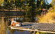 Otway Escapes Luxury Spa Accommodation - thumb 2