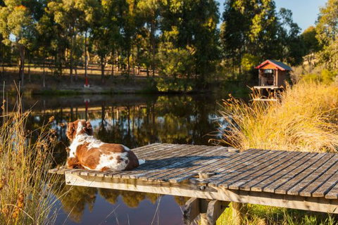 Otway Escapes Luxury Spa Accommodation - Hotel Gold Coast 2