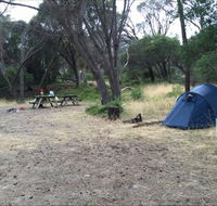Allports Beach Camping Ground - Hotel Gold Coast