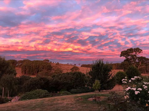 Avaleigh Elms Farmstay - Hotel Gold Coast 5