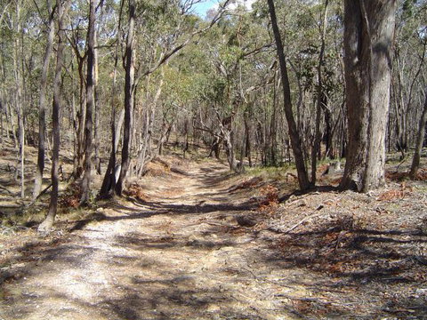 Bushmans Lookout - Hotel Gold Coast 3