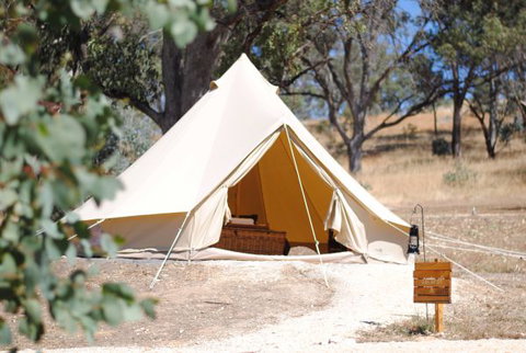 Cosy Tents - Hotel Gold Coast 0