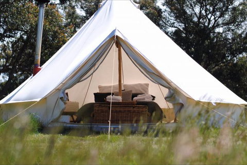 Cosy Tents - Hotel Gold Coast 4