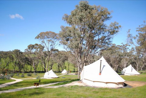 Cosy Tents - Hotel Gold Coast 5