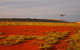 Gnaraloo Station - thumb 6