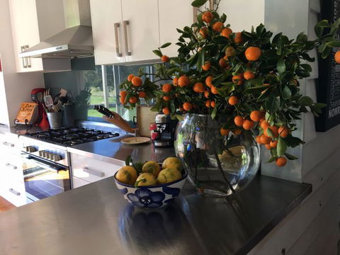 House Of Apples - Hotel Gold Coast 6