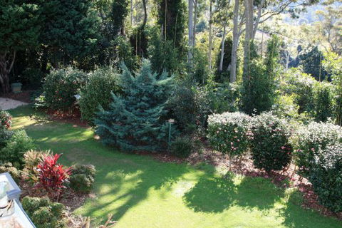 Mt Tamborine Motel - Hotel Gold Coast 1
