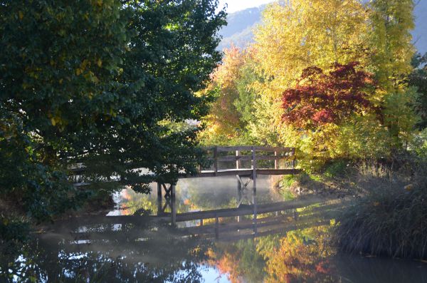 Nug Nug VIC Hotel Gold Coast