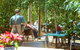 Oakdene Vineyards Guesthouse - thumb 5
