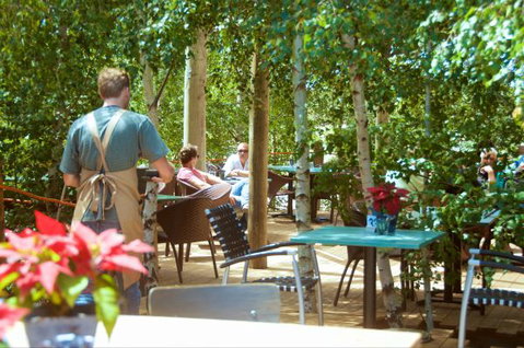 Oakdene Vineyards Guesthouse - Hotel Gold Coast 5
