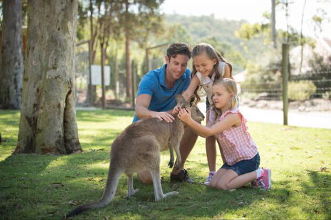 Paradise Country Farmstay - Hotel Gold Coast 7