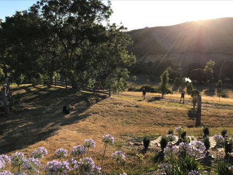 Shearer's Hill - Luxury Farm Stay - Hotel Gold Coast 9