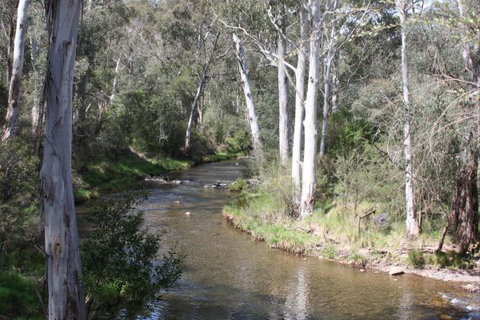 Stockyard Creek - Hotel Gold Coast 2