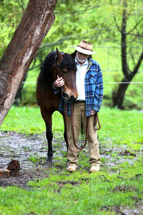 Stockyard Creek - Hotel Gold Coast 4