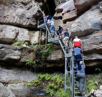 Takarakka Bush Resort Carnarvon Gorge - Hotel Gold Coast
