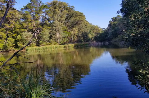 Ferny Hill Retreat - Hotel Gold Coast 3