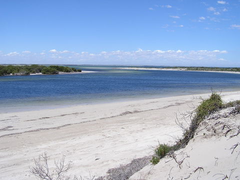 Acraman Creek Conservation Park Campgrounds - Hotel Gold Coast 1