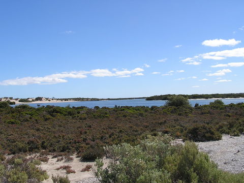 Acraman Creek Conservation Park Campgrounds - Hotel Gold Coast 2